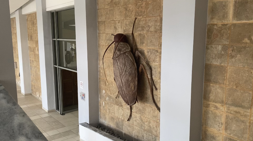 el museo nacional de las bellas artes Cuba